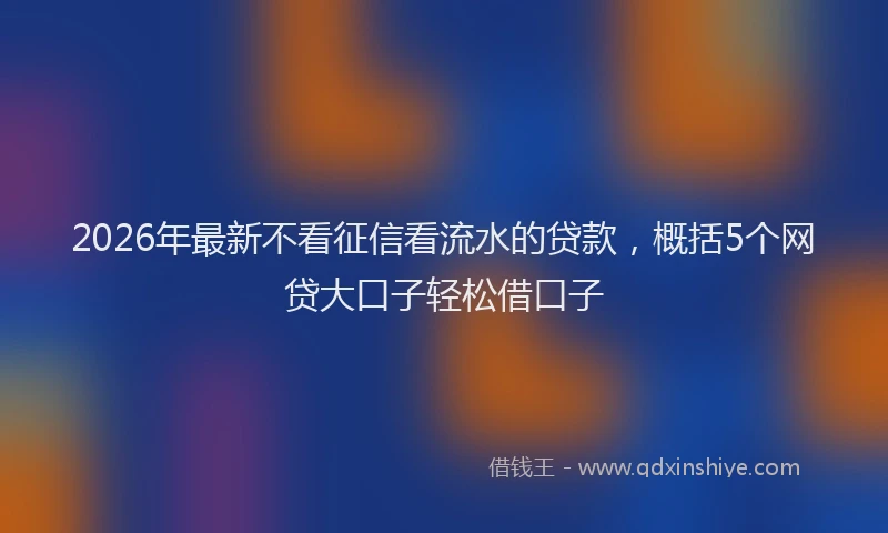 2026年最新不看征信看流水的贷款，概括5个网贷大口子轻松借口子