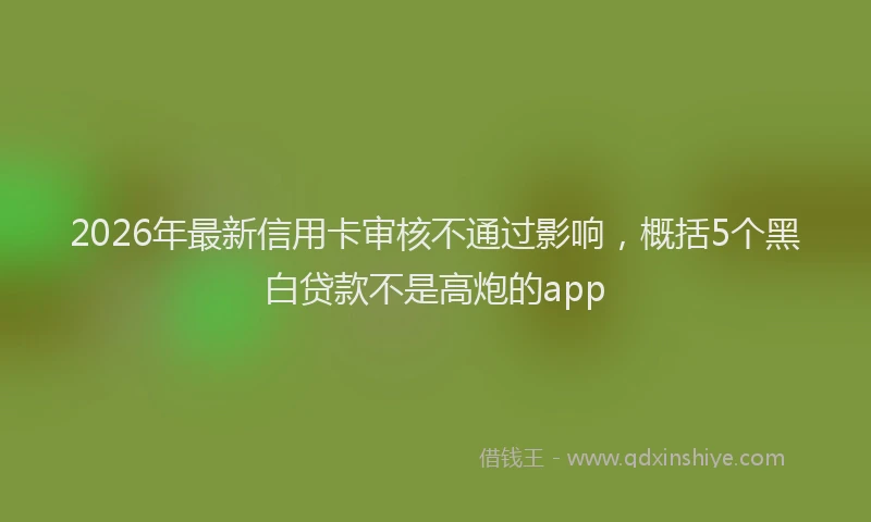 2026年最新信用卡审核不通过影响，概括5个黑白贷款不是高炮的app