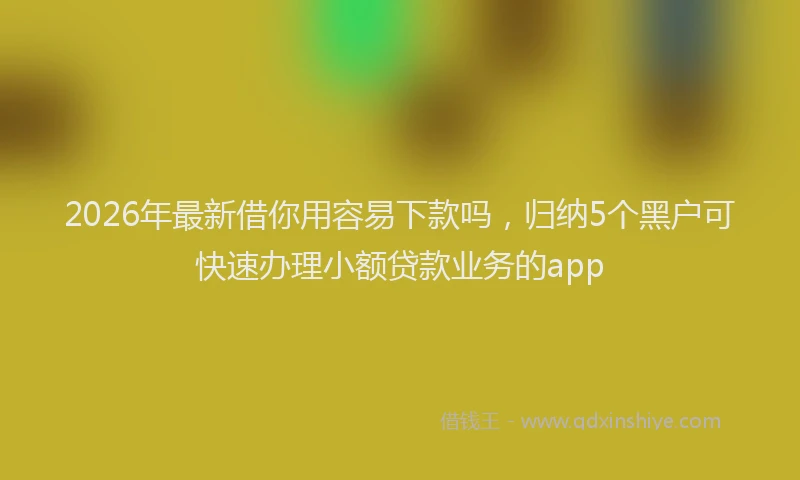 2026年最新借你用容易下款吗，归纳5个黑户可快速办理小额贷款业务的app