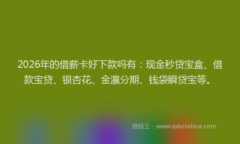 2026年的借薪卡好下款吗有:现金秒贷宝盒、借款宝贷、银杏花、金瀛分期、钱袋瞬贷宝等。