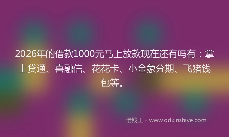 2026年的借款1000元马上放款现在还有吗有：掌上贷通、喜融信、花花卡、小金象分期、飞猪钱包等。
