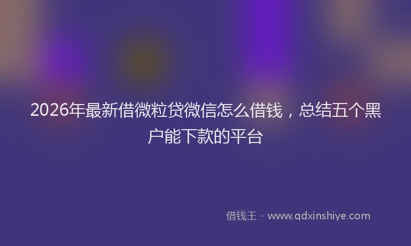 2026年最新借微粒贷微信怎么借钱，总结五个黑户能下款的平台