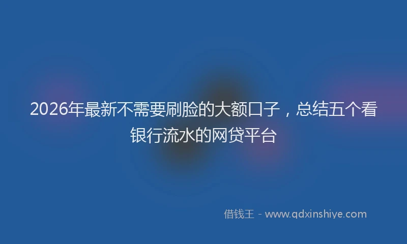 2026年最新不需要刷脸的大额口子，总结五个看银行流水的网贷平台