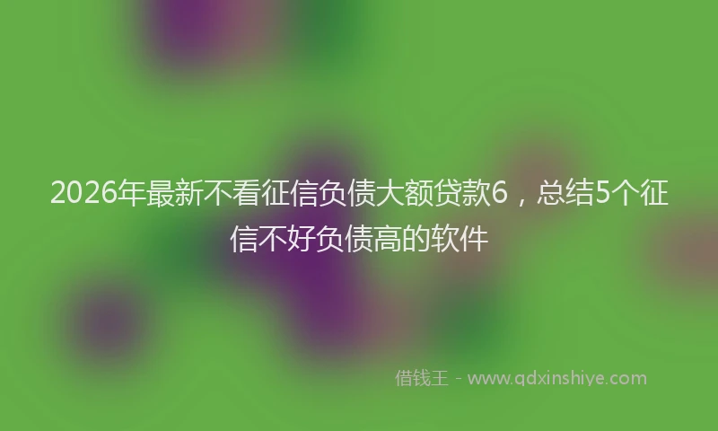 2026年最新不看征信负债大额贷款6，总结5个征信不好负债高的软件