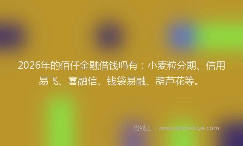 2026年的佰仟金融借钱吗有：小麦粒分期、信用易飞、喜融信、钱袋易融、葫芦花等。