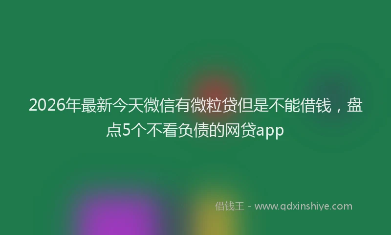2026年最新今天微信有微粒贷但是不能借钱，盘点5个不看负债的网贷app