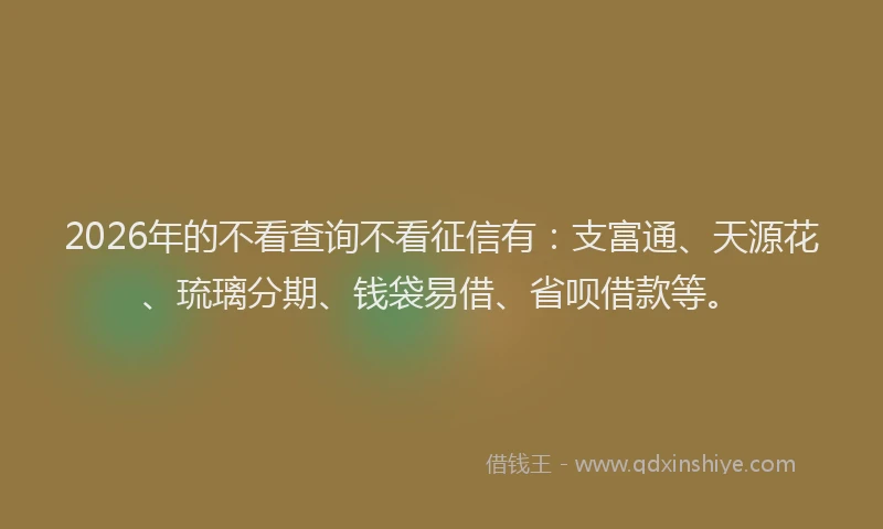 2026年的不看查询不看征信有：支富通、天源花、琉璃分期、钱袋易借、省呗借款等。