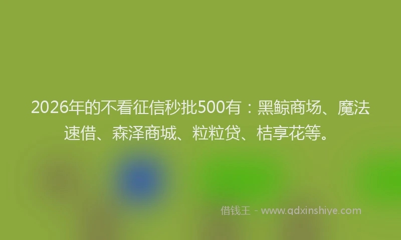 2026年的不看征信秒批500有：黑鲸商场、魔法速借、森泽商城、粒粒贷、桔享花等。