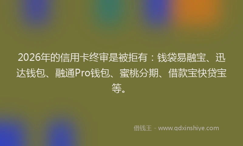2026年的信用卡终审是被拒有：钱袋易融宝、迅达钱包、融通Pro钱包、蜜桃分期、借款宝快贷宝等。