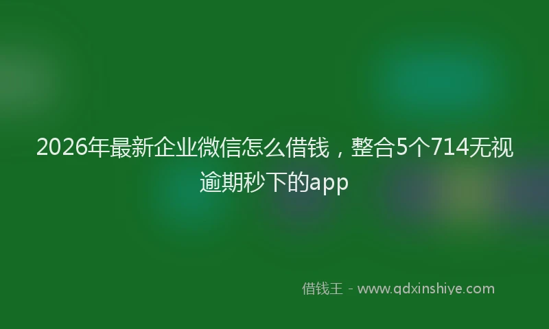 2026年最新企业微信怎么借钱，整合5个714无视逾期秒下的app