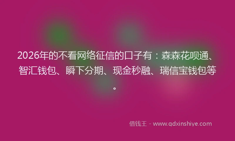 2026年的不看网络征信的口子有：森森花呗通、智汇钱包、瞬下分期、现金秒融、瑞信宝钱包等。