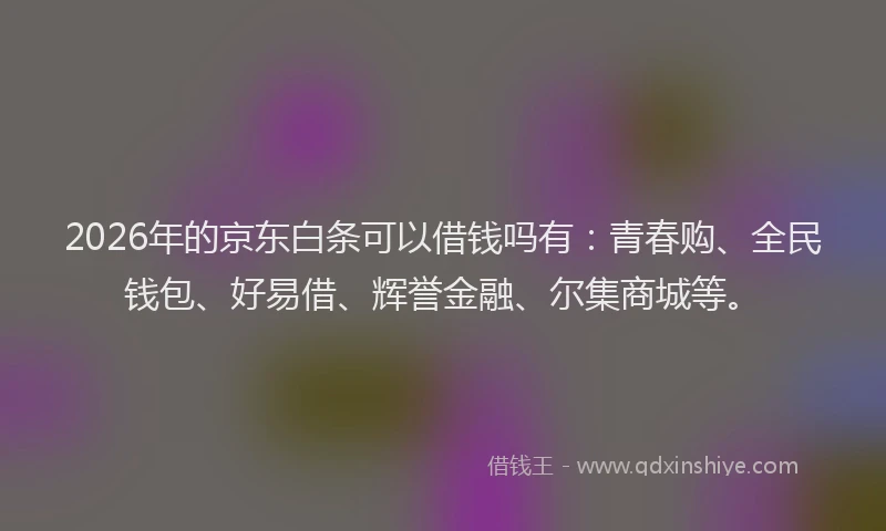 2026年的京东白条可以借钱吗有:青春购、全民钱包、好易借、辉誉金融、尔集商城等。