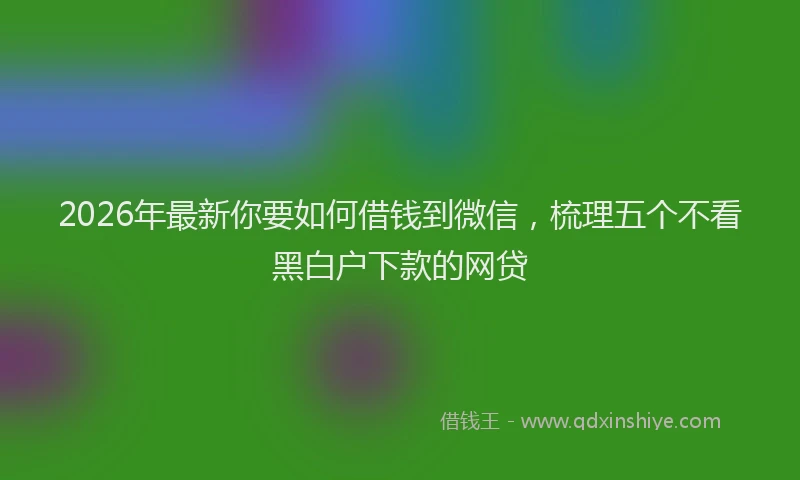 2026年最新你要如何借钱到微信，梳理五个不看黑白户下款的网贷