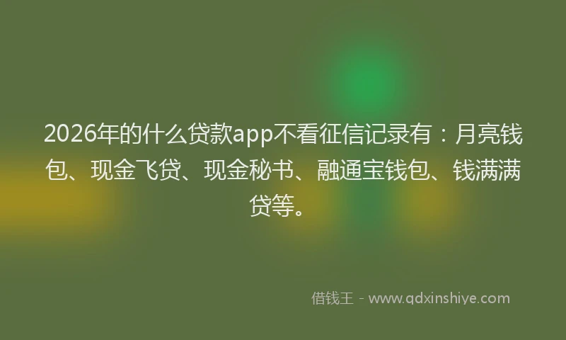 2026年的什么贷款app不看征信记录有：月亮钱包、现金飞贷、现金秘书、融通宝钱包、钱满满贷等。