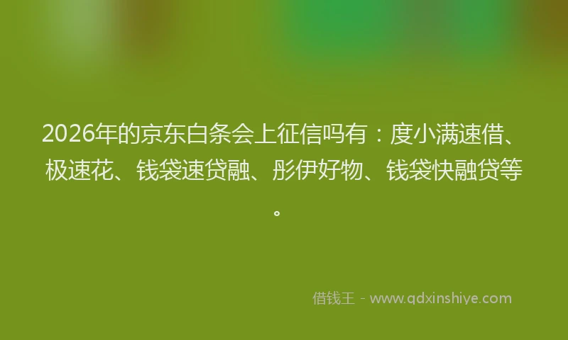 2026年的京东白条会上征信吗有:度小满速借、极速花、钱袋速贷融、彤伊好物、钱袋快融贷等。