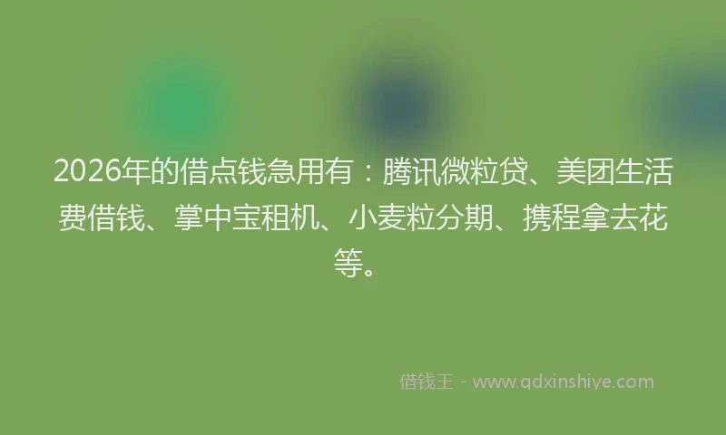 2026年的借点钱急用有:腾讯微粒贷、美团生活费借钱、掌中宝租机、小麦粒分期、携程拿去花等。