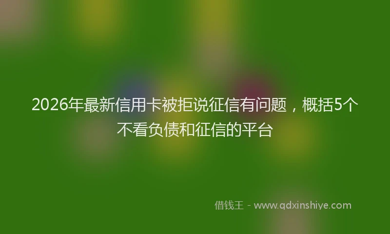 2026年最新信用卡被拒说征信有问题，概括5个不看负债和征信的平台