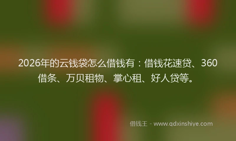 2026年的云钱袋怎么借钱有：借钱花速贷、360借条、万贝租物、掌心租、好人贷等。