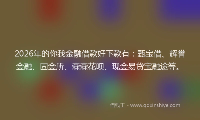 2026年的你我金融借款好下款有：甄宝借、辉誉金融、固金所、森森花呗、现金易贷宝融途等。