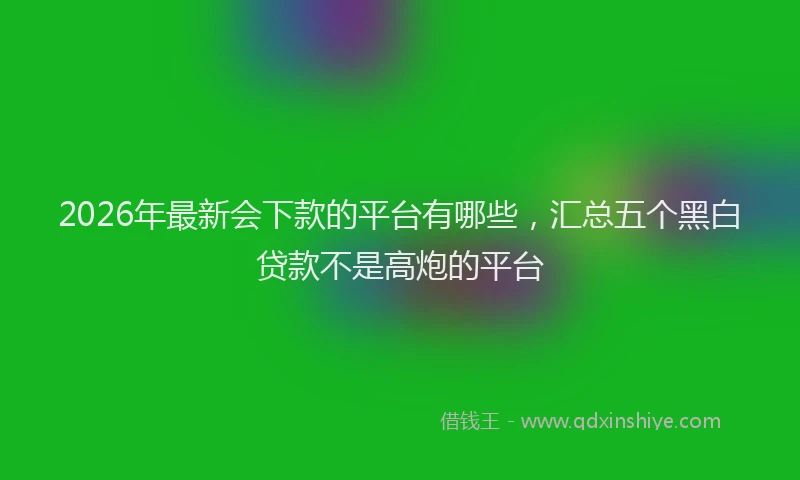 2026年最新会下款的平台有哪些，汇总五个黑白贷款不是高炮的平台