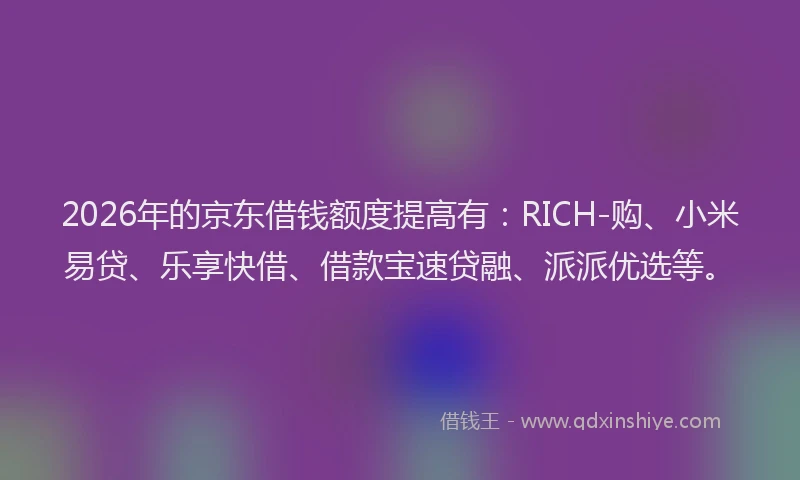 2026年的京东借钱额度提高有:RICH-购、小米易贷、乐享快借、借款宝速贷融、派派优选等。