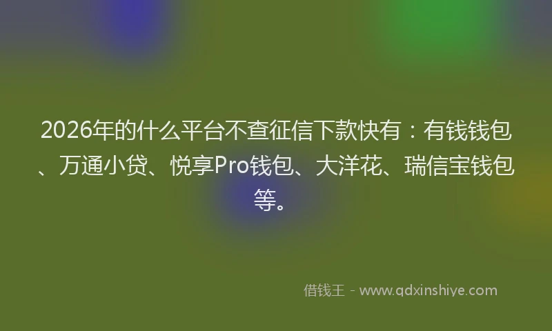 2026年的什么平台不查征信下款快有：有钱钱包、万通小贷、悦享Pro钱包、大洋花、瑞信宝钱包等。