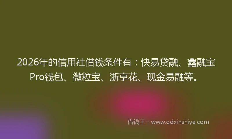 2026年的信用社借钱条件有：快易贷融、鑫融宝Pro钱包、微粒宝、浙享花、现金易融等。