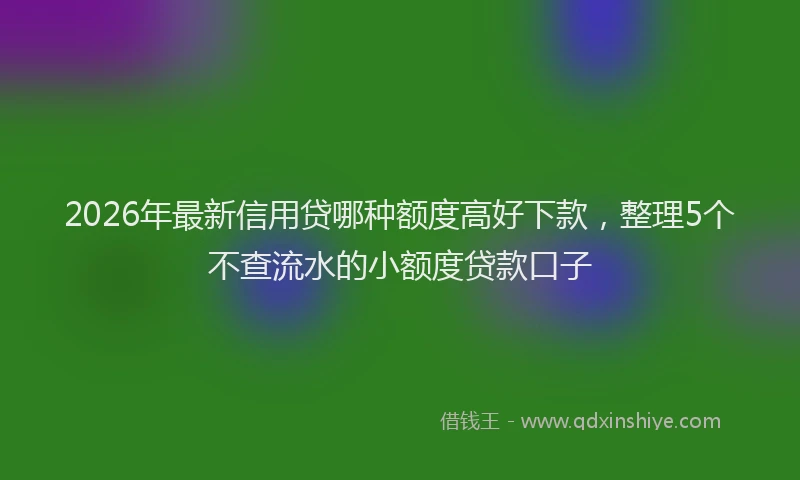 2026年最新信用贷哪种额度高好下款,整理5个不查流水的小额度贷款口子