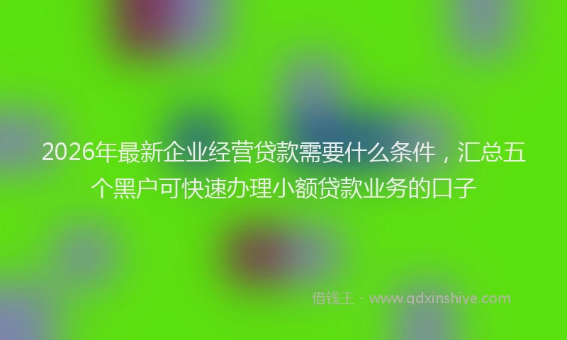 2026年最新企业经营贷款需要什么条件,汇总五个黑户可快速办理小额贷款业务的口子