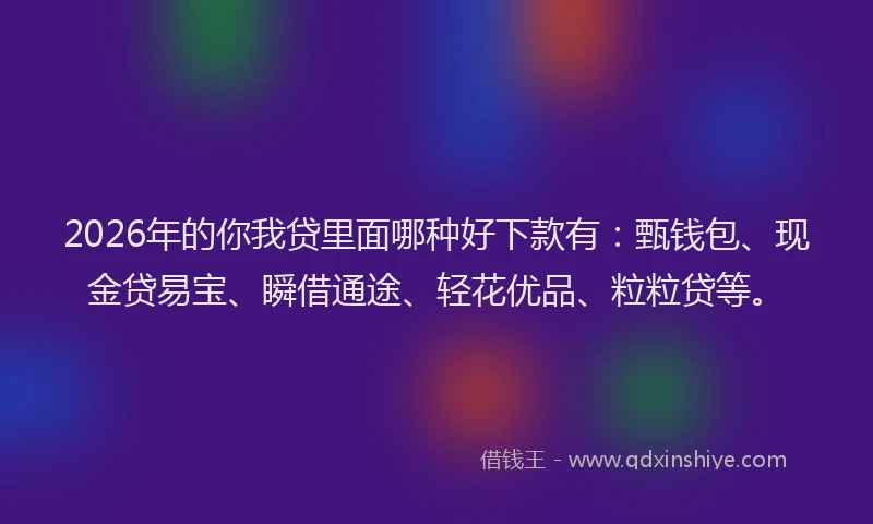 2026年的你我贷里面哪种好下款有：甄钱包、现金贷易宝、瞬借通途、轻花优品、粒粒贷等。