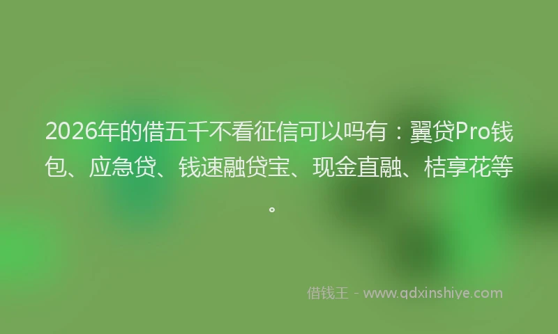 2026年的借五千不看征信可以吗有：翼贷Pro钱包、应急贷、钱速融贷宝、现金直融、桔享花等。