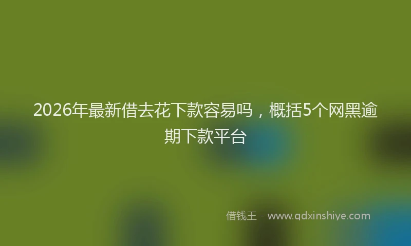 2026年最新借去花下款容易吗,概括5个网黑逾期下款平台