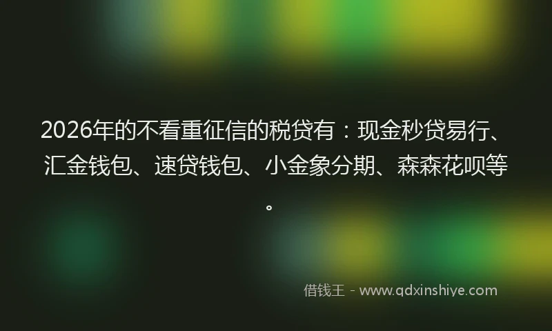 2026年的不看重征信的税贷有：现金秒贷易行、汇金钱包、速贷钱包、小金象分期、森森花呗等。
