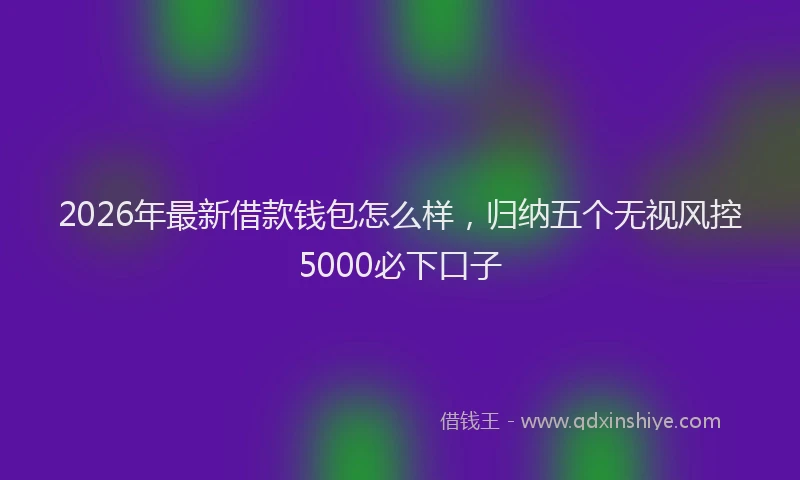 2026年最新借款钱包怎么样，归纳五个无视风控5000必下口子