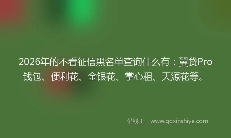 2026年的不看征信黑名单查询什么有：翼贷Pro钱包、便利花、金银花、掌心租、天源花等。