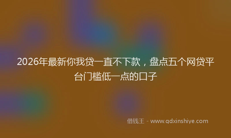 2026年最新你我贷一直不下款，盘点五个网贷平台门槛低一点的口子