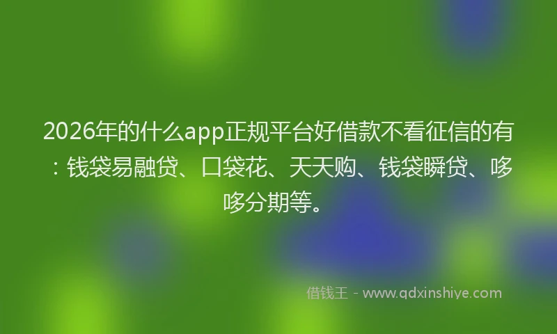2026年的什么app正规平台好借款不看征信的有:钱袋易融贷、口袋花、天天购、钱袋瞬贷、哆哆分期等。