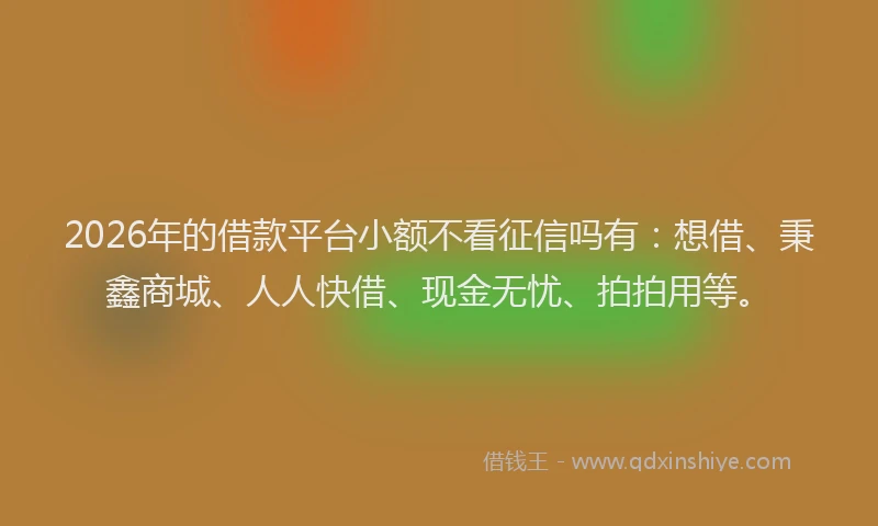 2026年的借款平台小额不看征信吗有：想借、秉鑫商城、人人快借、现金无忧、拍拍用等。