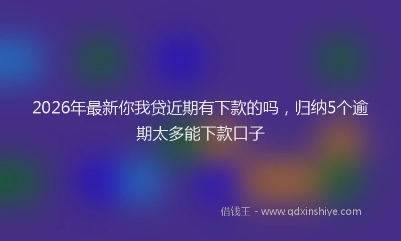 2026年最新你我贷近期有下款的吗,归纳5个逾期太多能下款口子