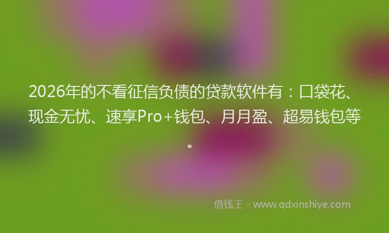 2026年的不看征信负债的贷款软件有:口袋花、现金无忧、速享Pro+钱包、月月盈、超易钱包等。