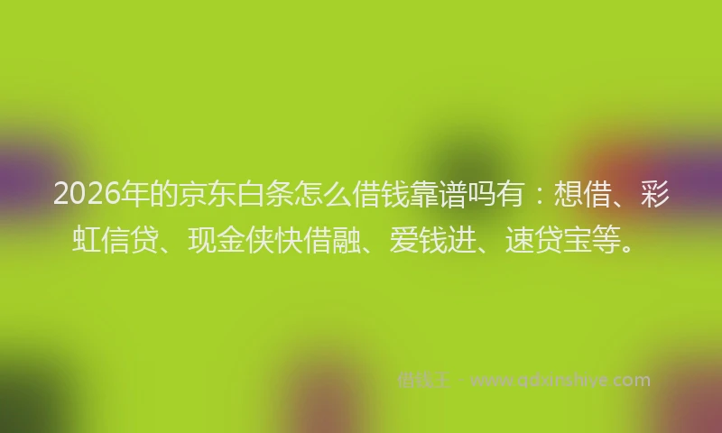 2026年的京东白条怎么借钱靠谱吗有:想借、彩虹信贷、现金侠快借融、爱钱进、速贷宝等。