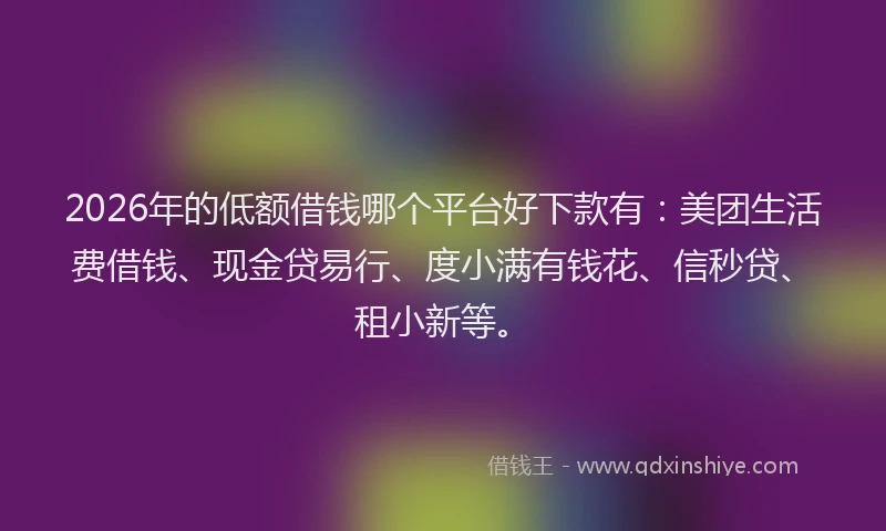 2026年的低额借钱哪个平台好下款有：美团生活费借钱、现金贷易行、度小满有钱花、信秒贷、租小新等。