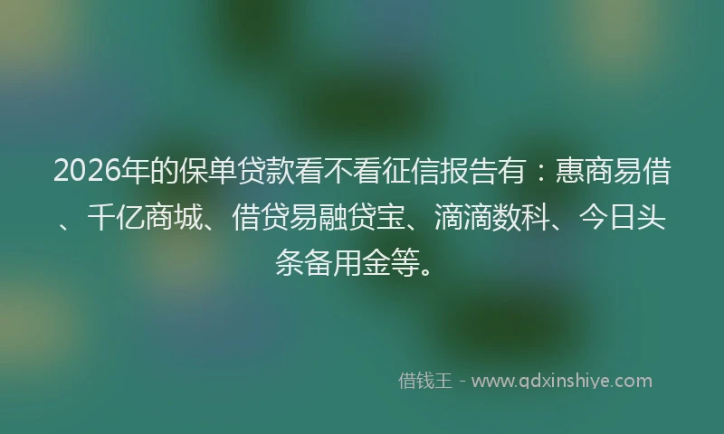 2026年的保单贷款看不看征信报告有:惠商易借、千亿商城、借贷易融贷宝、滴滴数科、今日头条备用金等。