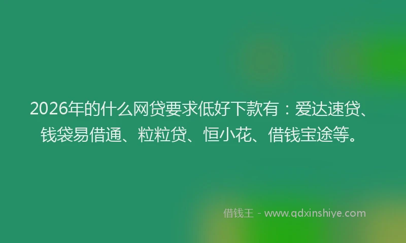 2026年的什么网贷要求低好下款有:爱达速贷、钱袋易借通、粒粒贷、恒小花、借钱宝途等。