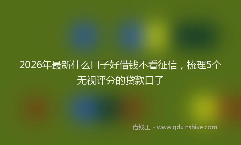 2026年最新什么口子好借钱不看征信，梳理5个无视评分的贷款口子