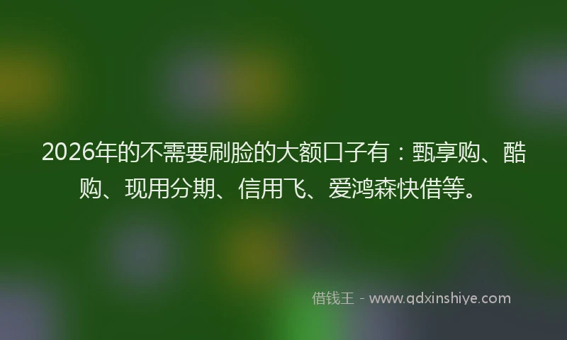 2026年的不需要刷脸的大额口子有：甄享购、酷购、现用分期、信用飞、爱鸿森快借等。