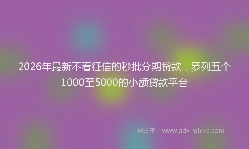 2026年最新不看征信的秒批分期贷款，罗列五个1000至5000的小额贷款平台
