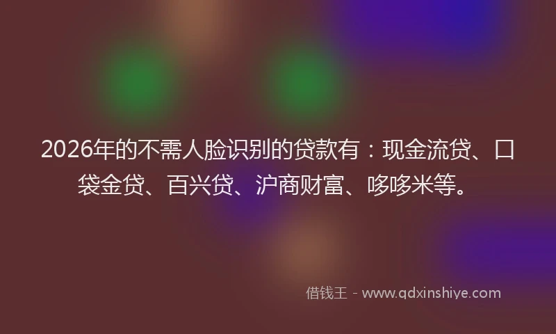 2026年的不需人脸识别的贷款有：现金流贷、口袋金贷、百兴贷、沪商财富、哆哆米等。