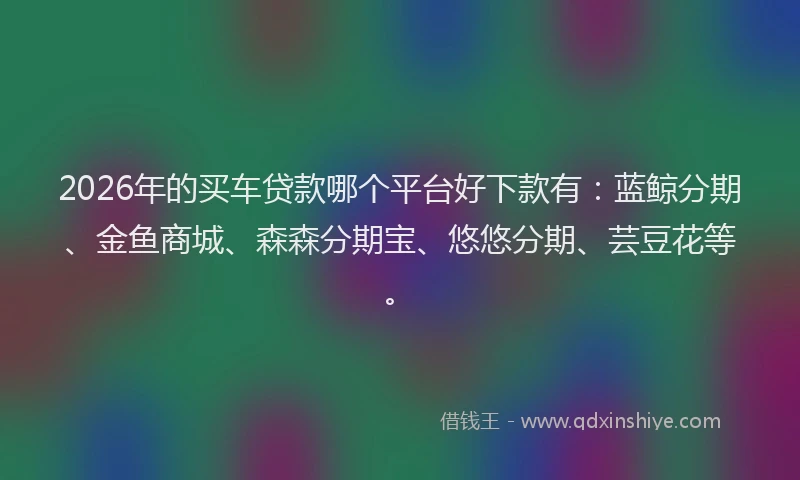 2026年的买车贷款哪个平台好下款有:蓝鲸分期、金鱼商城、森森分期宝、悠悠分期、芸豆花等。