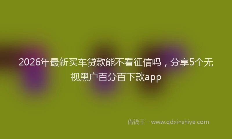 2026年最新买车贷款能不看征信吗，分享5个无视黑户百分百下款app
